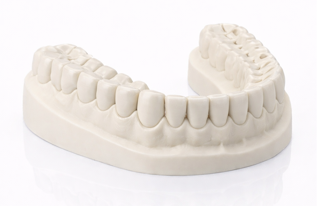 Dental Model